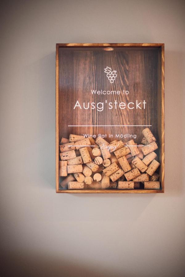 شقة Ausg'Steckt - Wine Flat Modling - Great Location المظهر الخارجي الصورة